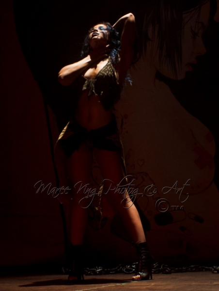 Suicide Girls Blackheart Burlesque LIVE Perth 19 Mar 2014 by maree King  (23)