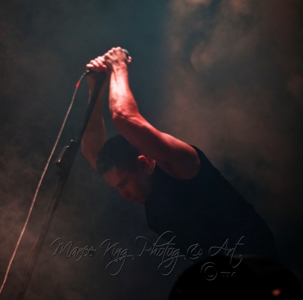 Nine Inch Nails Live Perth 11 March 2014 by Maree King  (1)
