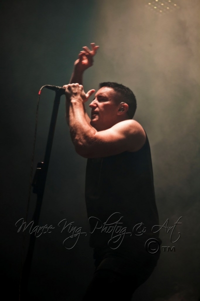 Nine Inch Nails Live Perth 11 March 2014 by Maree King  (2)
