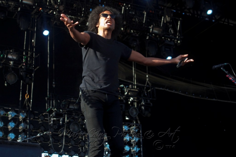 Soundwave Perth 2014 by Maree King - Alice In Chains  (1)