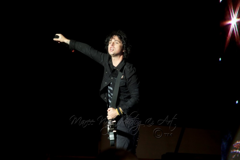 Soundwave Perth 2014 by Maree King - Green Day  (6)