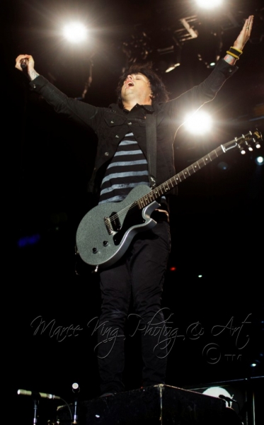 Soundwave Perth 2014 by Maree King - Green Day  (8)